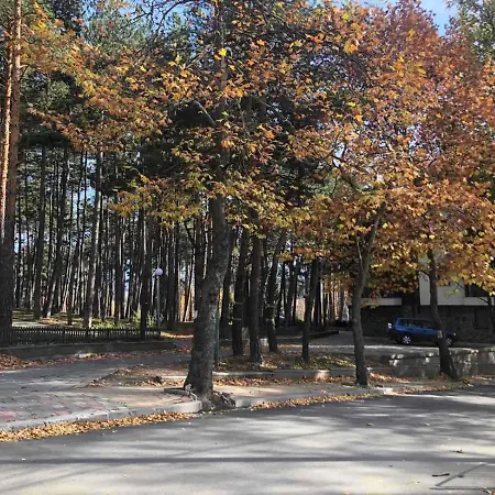 Midas - Borov Park 아파트 *