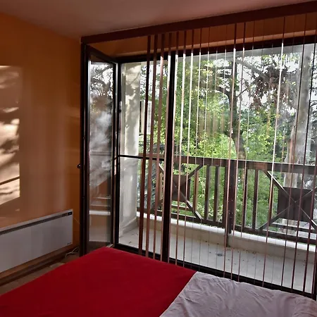 Apartment Borov Park 1 Velingrad