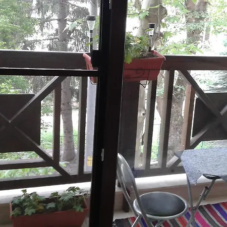 Apartment Borov Park 1