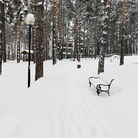 Apartment Borov Park 1 *