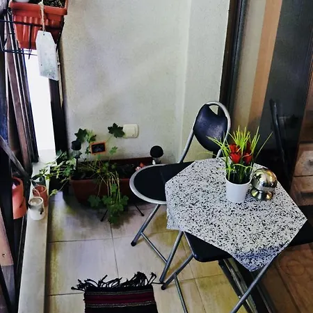 Apartment Borov Park 1