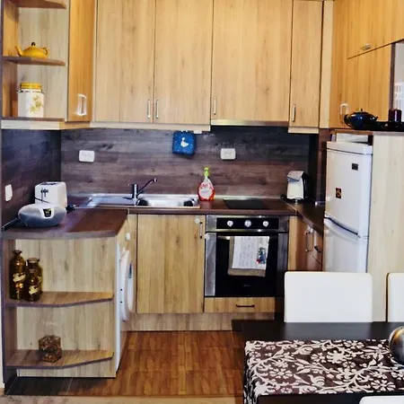 Borov Park 1 Apartment