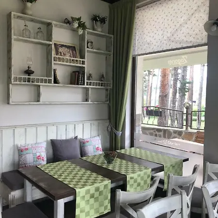 Apartment Borov Park 1 *