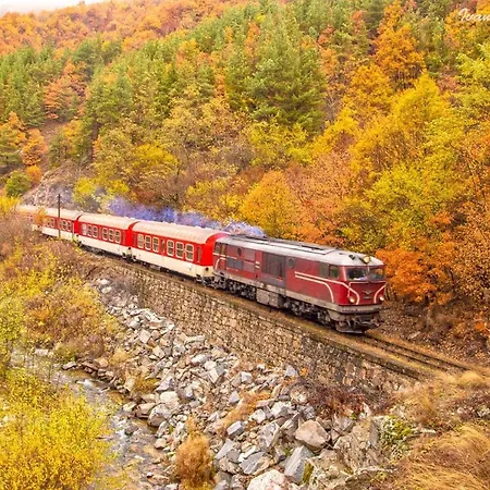 Borov Park 1 *