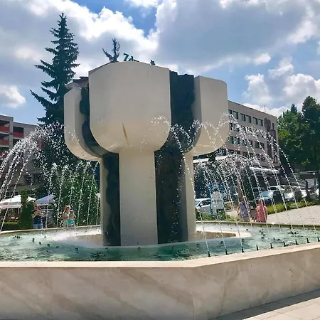 Borov Park 1 Velingrad