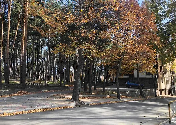 Midas - Borov Park Apartment *