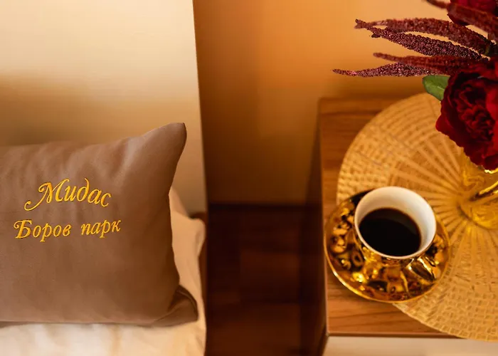 Midas - Borov Park Apartment