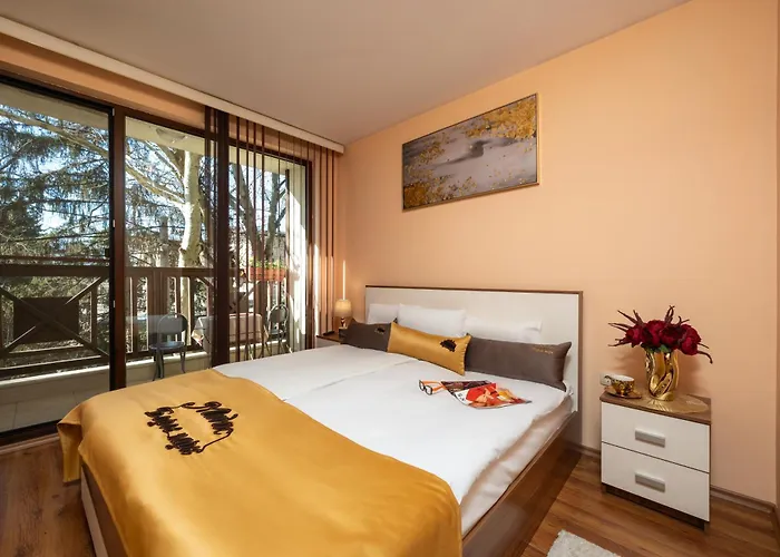 Appartement Midas - Borov Park