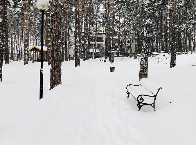 Appartement Midas - Borov Park *