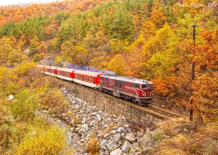 Midas - Borov Park *